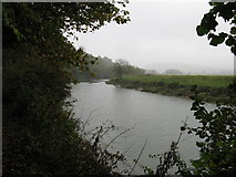 TQ0110 : Looking up stream on the River Arun by Dave Spicer