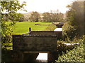 North Wootton: drain alongside the A39