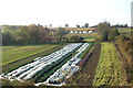 Polytyunnels east of Radford Semele