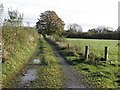 Lane, Tullycreenagh