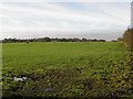 Tullycreenagh Townland