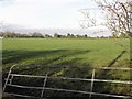 Tullycreenagh Townland