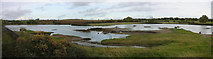 SO9366 : The Flashes Nature Reserve at Upton Warren by Les Hull
