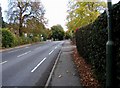 Boxgrove Road (A25) near Boxgrove Lane