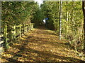 Footpath and cycle track to the M48 bridge