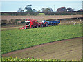 Lifting Beet near Barton Grange