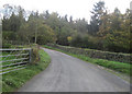 Road approaching The Warren