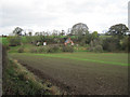 Farmland opposite The Warren