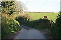SX1950 : Lane by the farm by roger geach