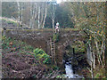 NH7794 : Old bridge over the Skelbo Burn from A9 at Bridgend by Sarah McGuire