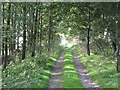 Track between Lanehead and the A69 (2)