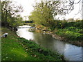 Looking SW along the River Thames at Castle Eaton