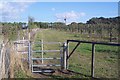 Kissing Gates near Hernhill