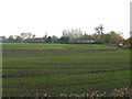 SJ7767 : Fields South Of Saltersford Corner by Peter Whatley