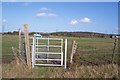 Kissing Gates and Blue Car