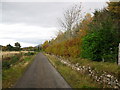 Hedge on the Great Glen Way