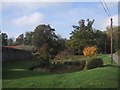 Ornamental pond by Ugbrooke House