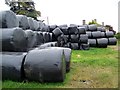 Silage bales, Whatley