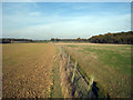 Fields near Newhurst Farm