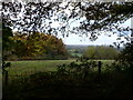 View west from Peckforton  wood