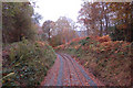 Track in the autumn near Golfa