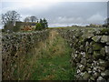 Green Lane in Greenhow