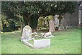 Graves under the yew