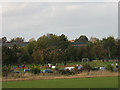 Football pitch at Avery Hill