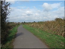 SX9687 : Cycle path alongside Exeter Canal by David Smith