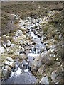 NO1481 : Upstream Allt Domhain by Stanley Howe