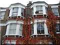 Windows in College Place, Camden