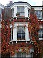 Windows in College Place, Camden