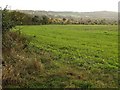 Field beside Quarr Lane