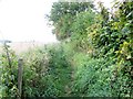 Footpath, Combe Down