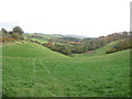 Down the valley near at Y Figyn