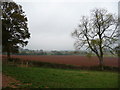 Autumn ploughsoil south of Peaton