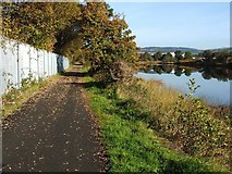 NS3975 : Cycle path, north of railway bridge by Lairich Rig