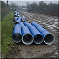 Water pipes, Bilton