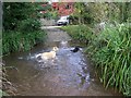 Stream, North Wootton