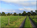 Track and pasture, Ashford Hill