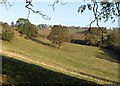 Trees by the Macmillan Way