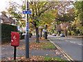 NCN Route 41 crosses Radford Road (2)