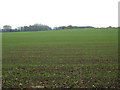 Farmland near Pocklington