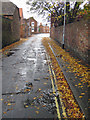 Leaf Fall in Marsh Lane, All Saints