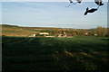 View through the hedge on Shalmsford Road