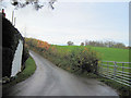 Lane after crossing Luggy Brook