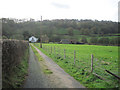 Track to Glanrhiew Farm