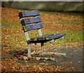 Bench, Ward Park