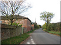 Approach to Shotesham on Brooke Road