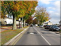 Looking east along Beech Avenue